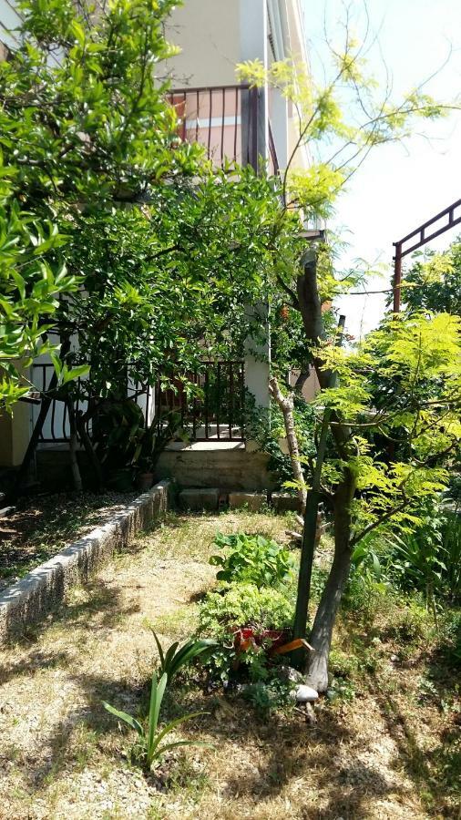 Apartmani Ivanka Makarska Kültér fotó