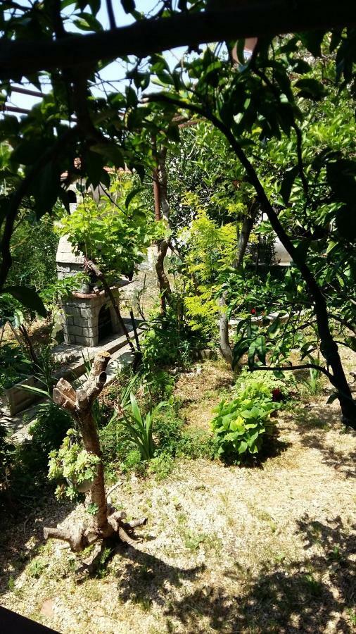 Apartmani Ivanka Makarska Kültér fotó